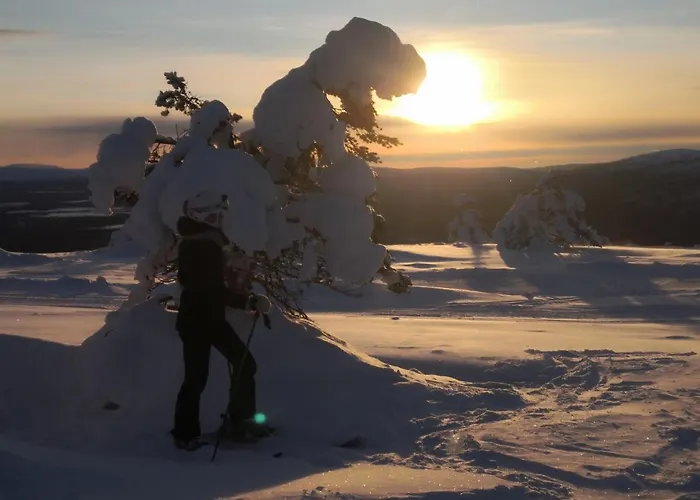 Ski-star 213 아파트 레비